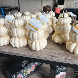 Fall decorations lot